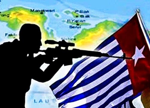 Biadab! KKB Papua Tembak Mati Danramil Aradide