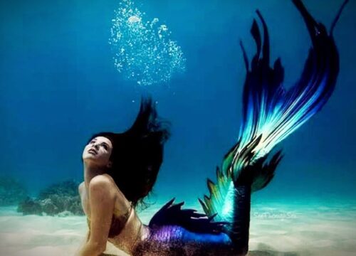 Apakah Putri Duyung Benar-benar Nyata? Cek Faktanya di Sini