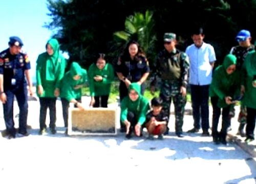 Komandan Kodim 1421/Pangkep Lepas 85 Ekor Tukik Penyu Hijau di Pulau Kapoposang