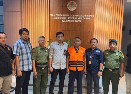 Berupaya Kelabui Petugas, Tersangka Kayu Ilegal di Bantaeng Pakai Dokumen Palsu