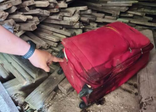 Breaking News! Polisi Tangkap Tersangka Kasus Pembunuhan Wanita dalam Koper