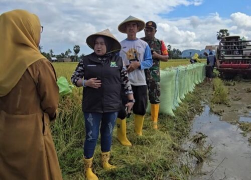 Keren, Komunitas Petani Gaul di Pangkep Jadi Solusi Swasembada Pangan
