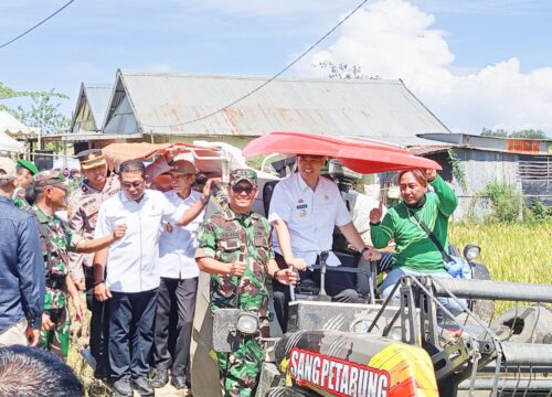 Turun ke Sawah, Bupati dan Wakil Bupati Pangkep Kompak Panen Bareng Petani