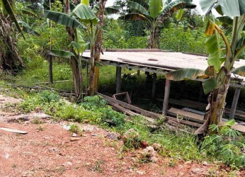 Pondok Petani Dibongkar, Kelompok Tani di Kutim Resah: Tuding Oknum Babinsa Memihak