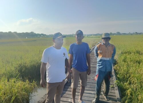 Serap Aspirasi Petani, Gerindra Kutim Kunjungi Sentra Pertanian di Teluk Singkama