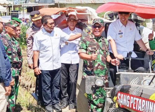 Hadiri Panen Raya, Ketua DPRD Pangkep Minta Pemerintah Pusat Tambah SDM Bulog