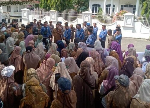 Pemkab Enrekang Temukan 100 Lebih SK Honorer Fiktif, PPPK Terancam Diberhentikan