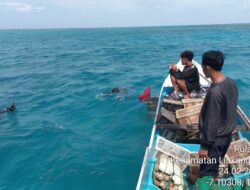 Penambangan Ilegal Terumbu Karang di Pangkep Kembali Marak, Warga Kecewa Minimnya Penindakan