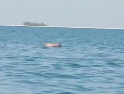 Nelayan Pangkep Ditemukan Tewas di Perairan Pulau Langkadea