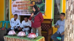 Irmawati Serap Aspirasi Warga Pulau Sanane: Perjuangan untuk UMKM dan Air Bersih di Tengah Laut Pangkep