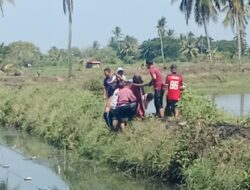 Warga Pangkep Ditemukan Tewas di Pematang Tambak Setelah Hilang Sehari
