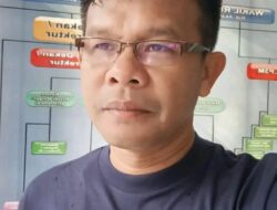OPINI: Lalat-lalat Demokrasi