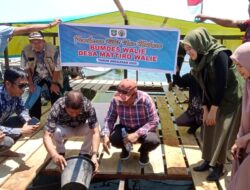 Budidaya Ikan Laut, Pemerintah Desa Mattiro Walie Dorong Ekonomi Pesisir