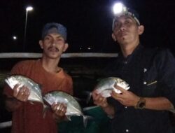 BUMDes Mattiro Walie Panen Perdana, Dorong Ekonomi Warga