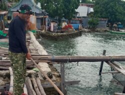 Panen Kedua BUMDes Sahara Jadi Contoh Pengembangan Ekonomi Warga